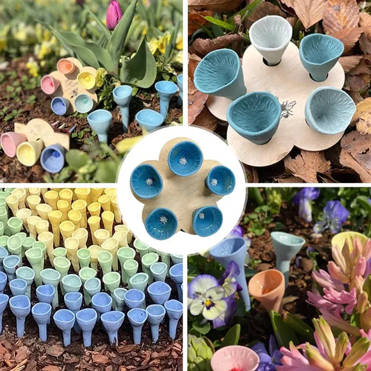 EcoCup - Blomstre fremtidens natur og bevare våre pollinatorer! (Potte inkludert
