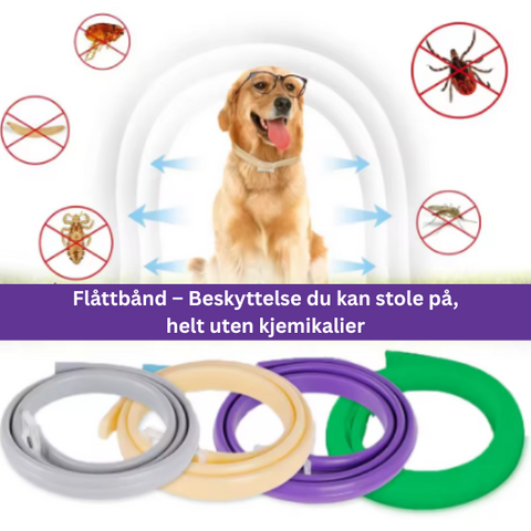 Flått- og Loppehalsbånd for Hund og Katt – Justerbart