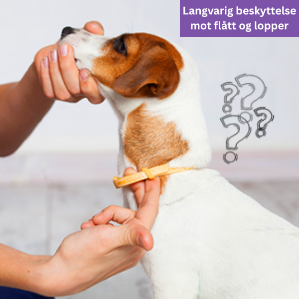 Flått- og Loppehalsbånd for Hund og Katt – Justerbart