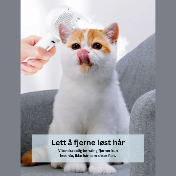3-i-1 Dampbørste for Katter og Hunder – Oppladbar og Effektiv